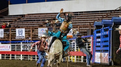 Bull Riding At the Cody, WY Rodeo Photo