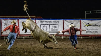Bull At the Cody, WY Rodeo Photo