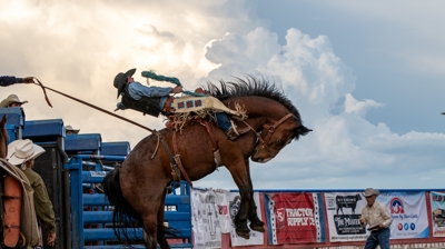 Rodeo